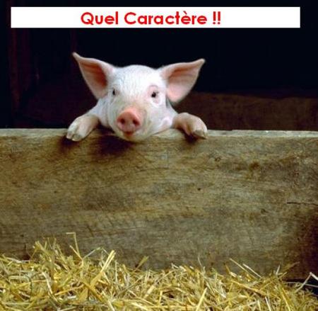 Quel Caract�re !!