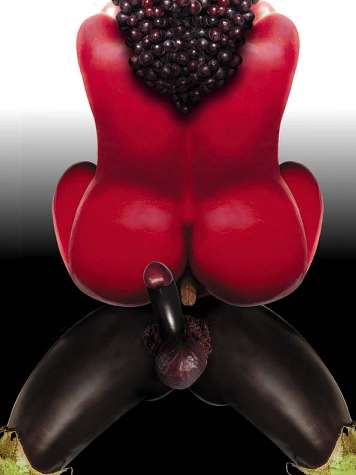 LE SEXE OUI MAIS .........